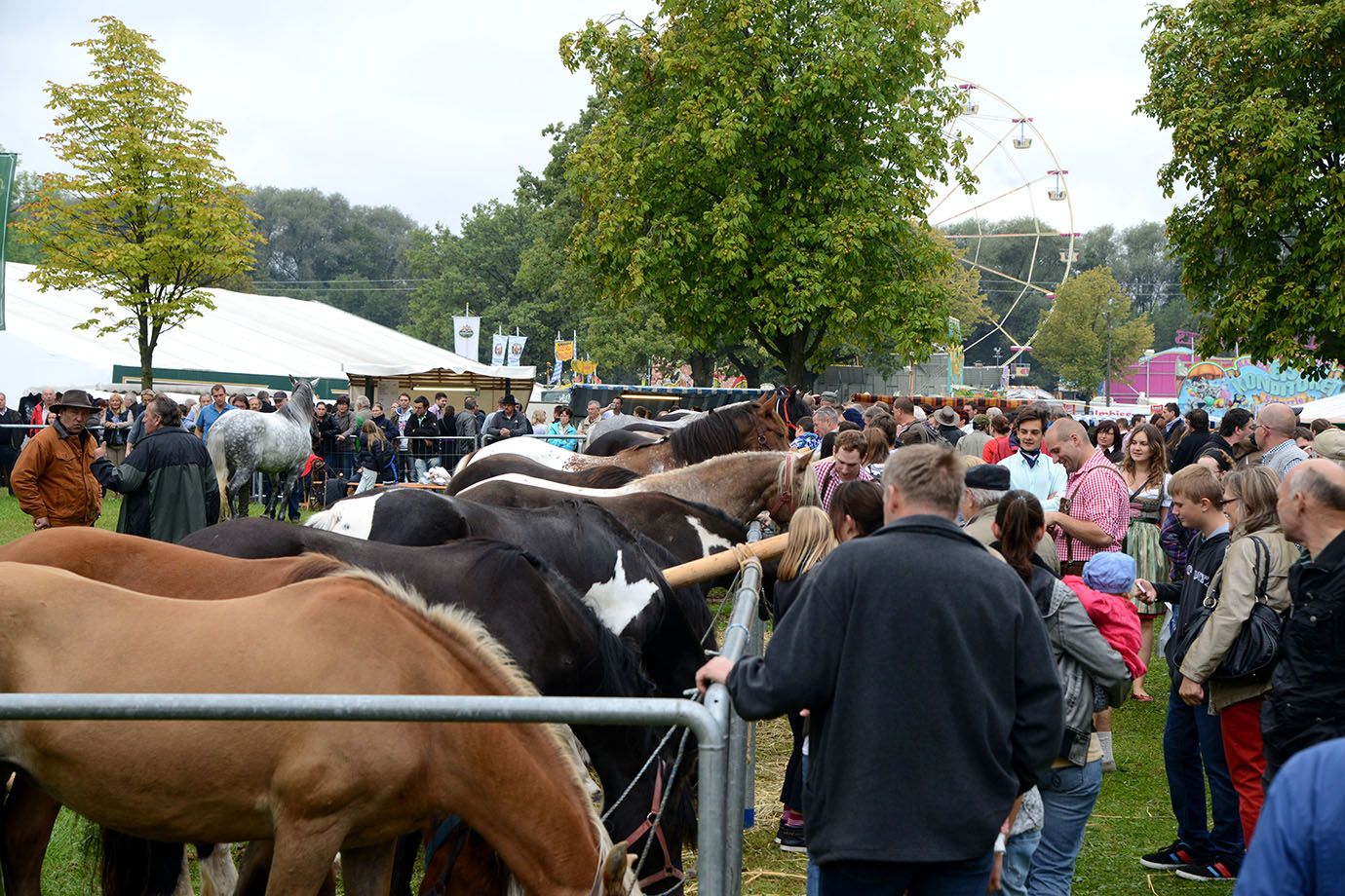 Pferdemarkt 2014